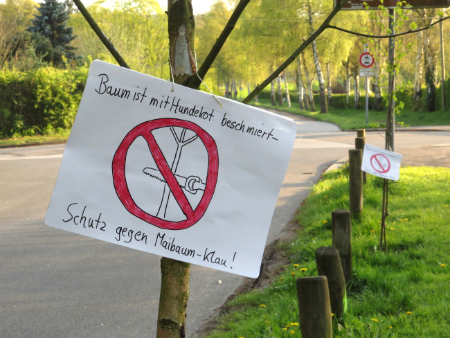 Ulrich Simons - Maibaum